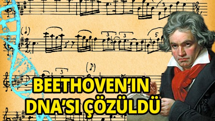 Beethoven'ın DNA'sından sırları ortaya çıktı