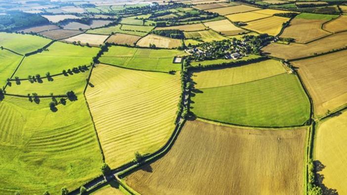 Araplar Türkiye'deki tarım arazilerini satın alıyor
