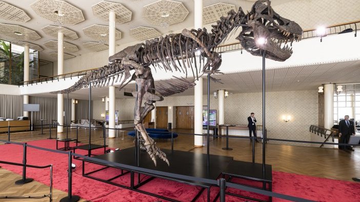 67 milyon yaşındaki iskelet satışa çıkıyor