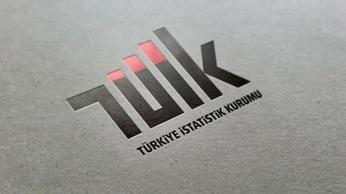 TÜİK'teki bazı daire başkanlıklarının isim ve görevlerinde değişiklik yapıldı