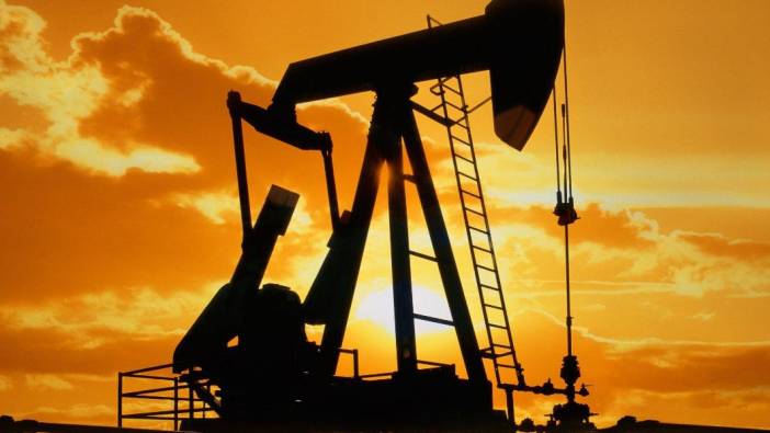 Türkiye'nin petrol ithalatı ocakta azaldı