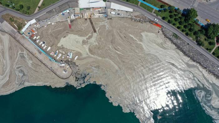 Marmara Denizinde tehlike çanları: ''Müsilaj felaketi ile karşı karşıyayız''