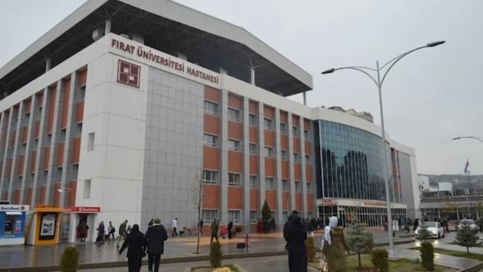 Hemşirelik öğrencisine veteriner danışman