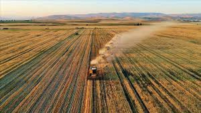 Çiftçilere müjde... tarımsal destek ödemeleri yapılıyor