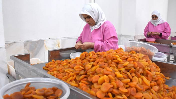 Malatya'nın kuru kayısı ihracatı martta yeniden arttı