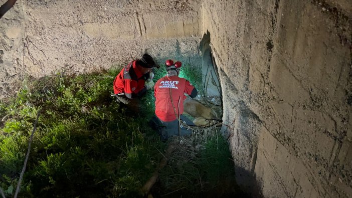 Ankara'da çaya düşen köpek kurtarıldı