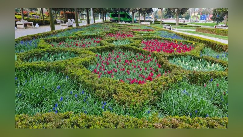 İstanbul'da lale zamanı