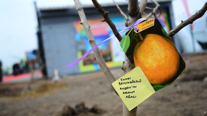 12 bin metrekarelik dev meyve ormanı