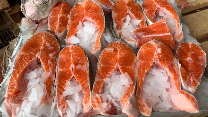 Doğu Karadeniz'den 23,1 milyon dolarlık somon ihracatı