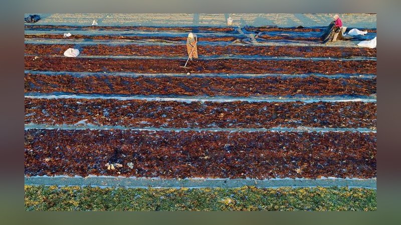 Kuru meyvede ihracat yöntemi geliri düşürüyor