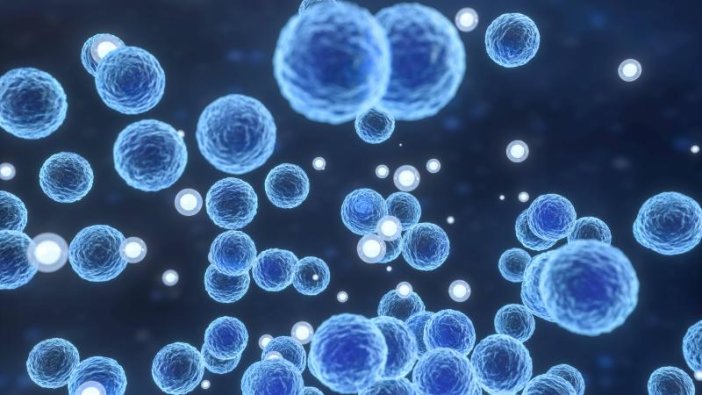 Bilim İnsanları korkunç çalışma sonucunu paylaştı: ''Ölümcül et yiyen mikroplar''