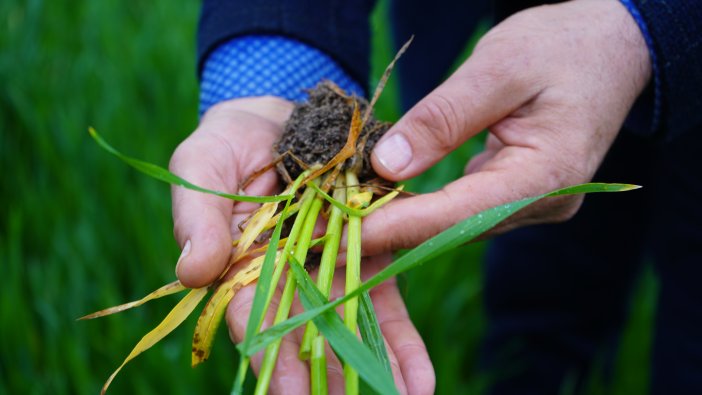 Trakya'da son 70 yılın kuraklığı son buldu