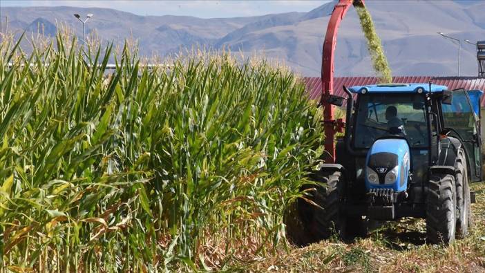 Afet bölgesindeki çiftçilere güzel haber