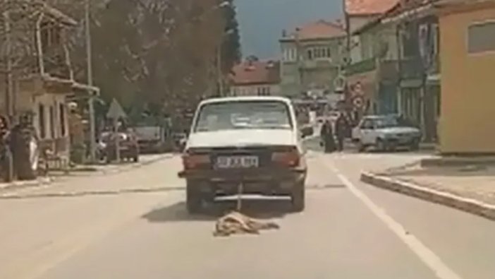 Otomobilin arkasına bağladığı köpeği sürükleyerek öldürdü