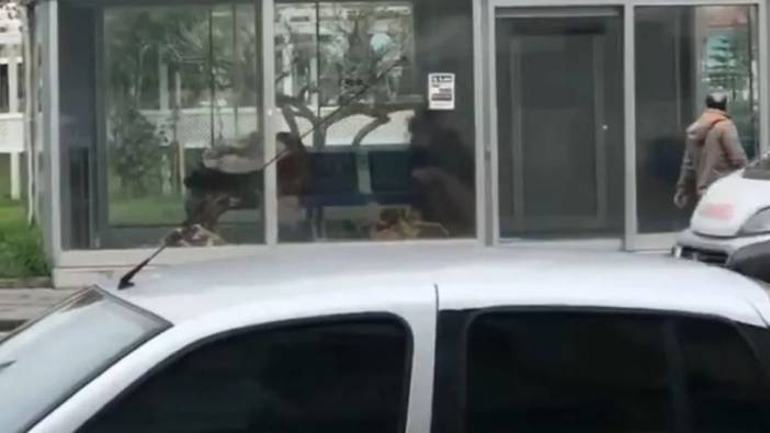 Adana'da akılalmaz olay: Durakta sigara içtiği için dövülerek öldürüldü