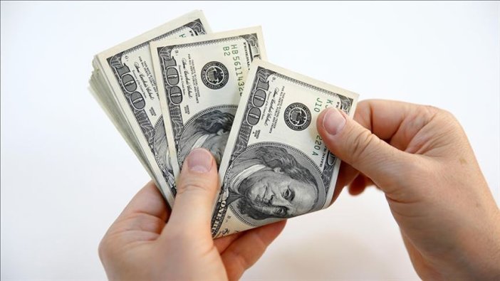 Serbest piyasada döviz açılış fiyatları