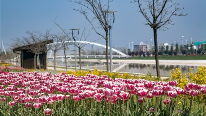 Baharın renkleri Bursalılarla buluştu 