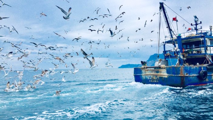 Denizlerde av yasağı başladı