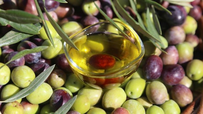 Zeytin ve zeytinyağı ihracatında son durum