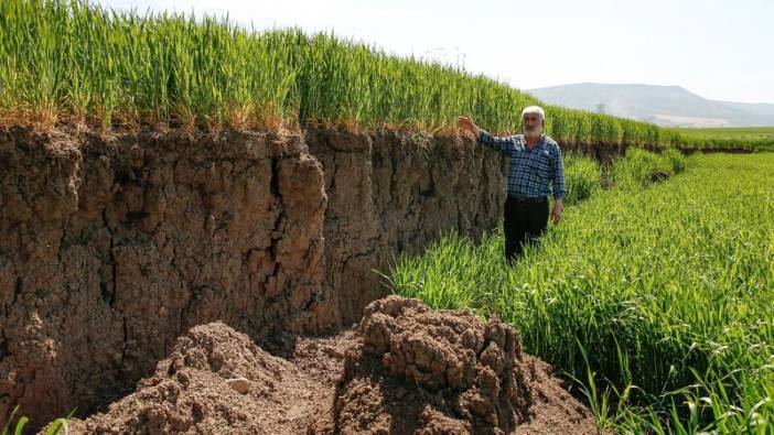 Kahramanmaraş'ta tarlalar ikiye bölündü