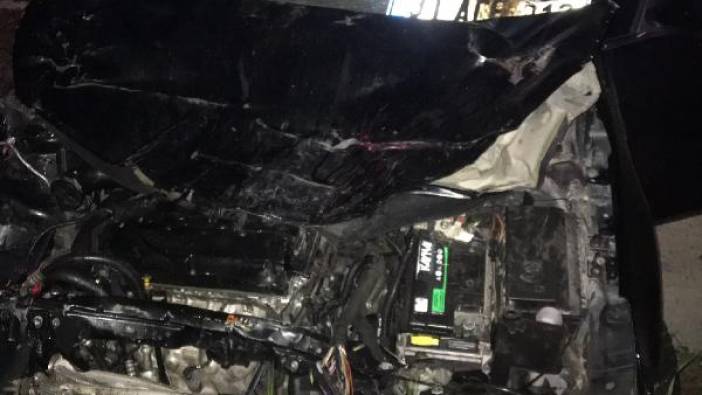 Yola çıkan mandalara otomobil çarptı