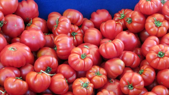 Domates altınla yarışıyor