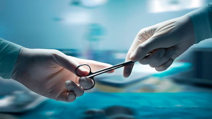 Türk ve İngiliz araştırmacılar çalışmalara başladı: Yüzde 40 artacak!