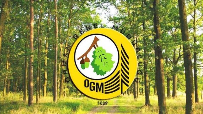 5 ile yeni Orman Müdürlüğü kuruluyor!