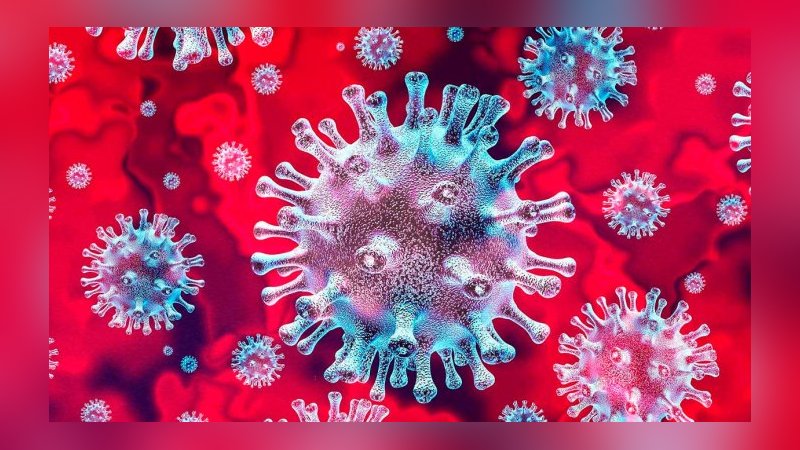 Lassa ateşi 151 can aldı: Yayılmaya devam ediyor!