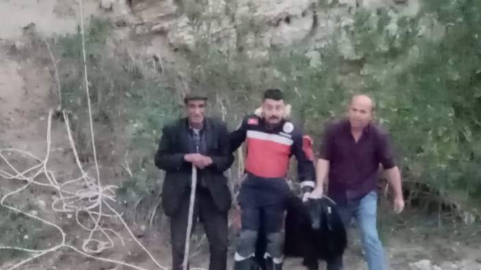 Mahsur kalan keçiyi itfaiyeciler kurtardı