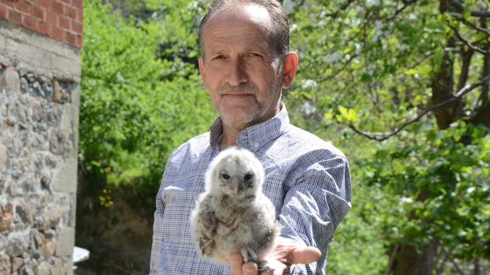 Baykuş ile 20 yıllık dostluk