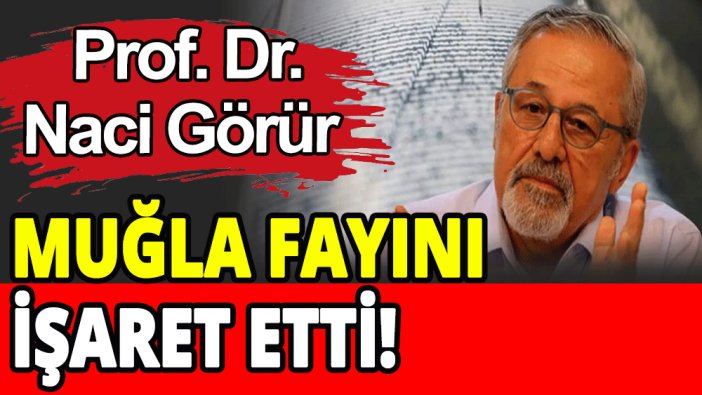 Prof. Dr. Naci Görür Muğla fayını işaret etti