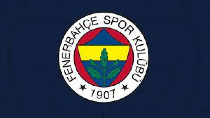 Fenerbahçe yatırımcısını üzdü