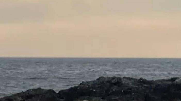 Ada da köpek operasyonu