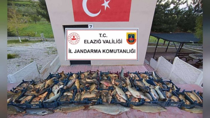 Yasakları delen avcıya binlerce liralık ceza