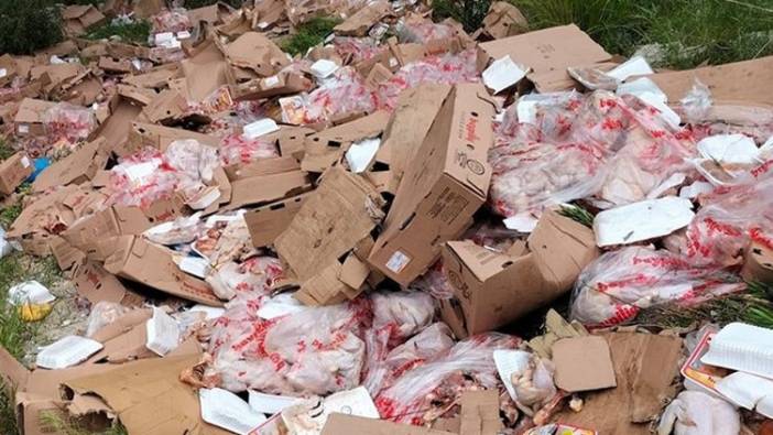 Mide bulandıran görüntüler: paket paket ormana atmışlar