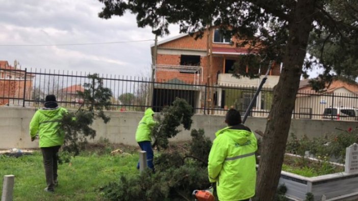 Silivri’de ağaç budama çalışmaları hız kazandı