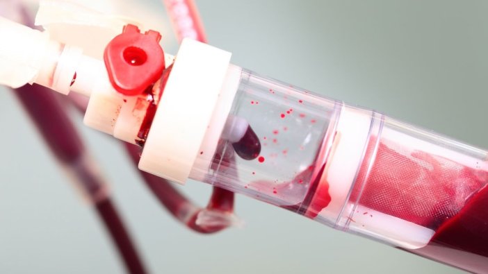 MIT'den sağlık alanında bir devrim