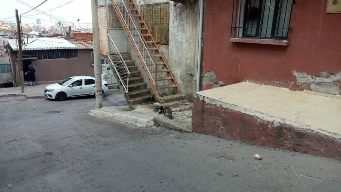 Ayrı yaşadığı kocası tarafından çocuğunun önünde öldürüldü