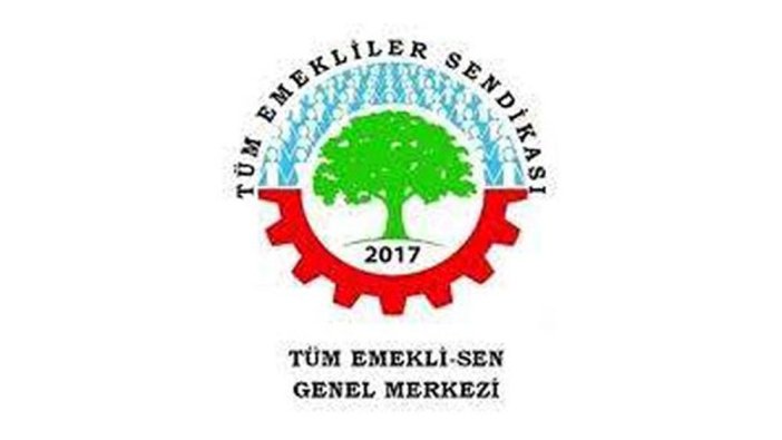 Tüm Emekliler Sendikası seçimlere ilişkin 'Tutum Belgesi'ni yayınladı