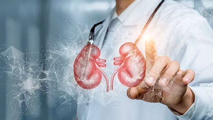 Uzmanı hayati riskleri tek tek açıkladı: Böbrek sağlığı için bunlardan uzak durun!