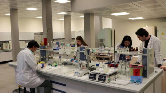 3D yazıcı ile sığır damarından insan damarı