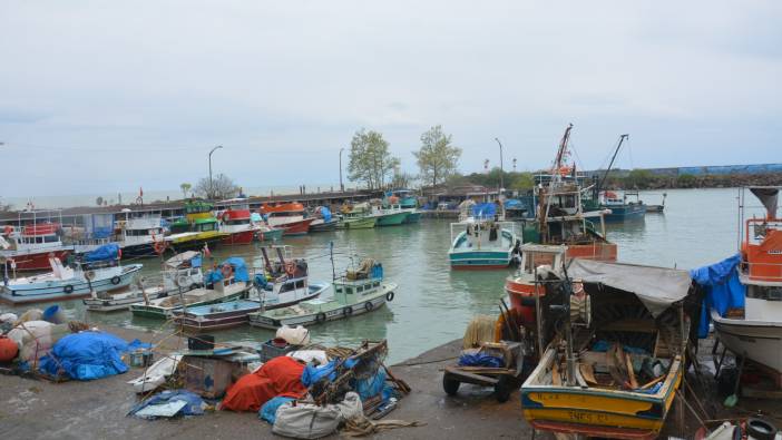 Av yasağı ve olumsuz hava şartları balık fiyatlarını yükseltti