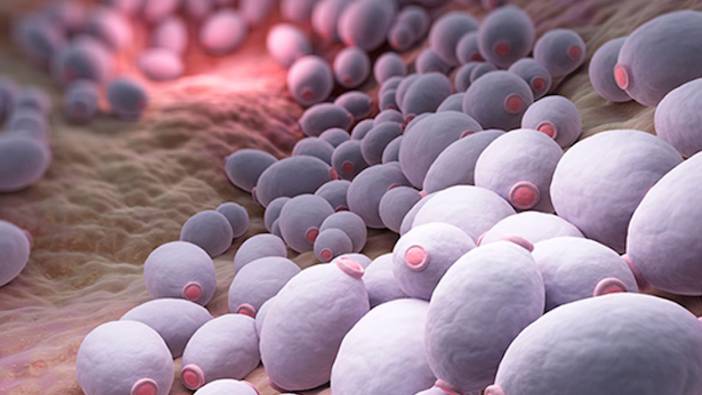 Geçmeyen eklem ağrılarına dikkat: Acil Tıp Uzmanı'ndan hayati mantar uyarısı