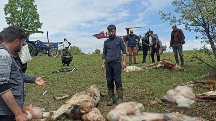 Diyarbakır’da yıldırım düştü; çoban ağır yaralandı