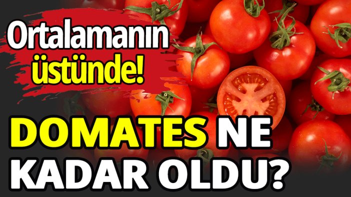 Domatesin fiyatı ne kadar oldu?