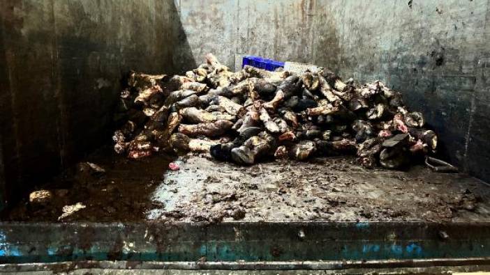 Et halinde hijyen tartışması