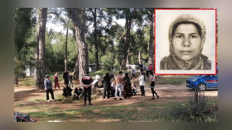 Ormandaki konteynerde şüpheli ölüm