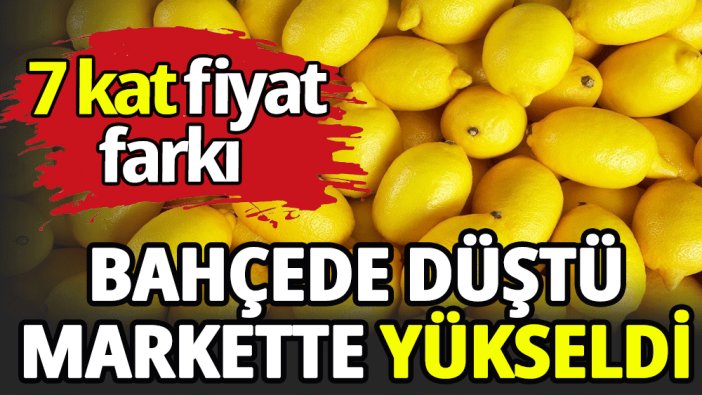 Limonun fiyatı ne kadar?