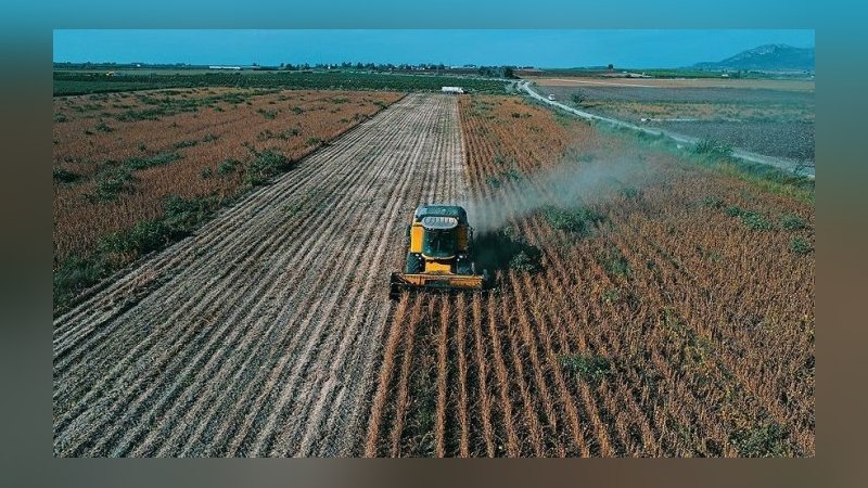 İBB'den çiftçiye büyük destek: Bu sene verilecek